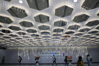 Pannello per soffitti di alluminio 1100 decorativi esagonali per il centro commerciale di lusso